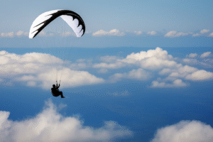 Best Time for Paragliding in Dharamshala: A Month-by-Month Guide